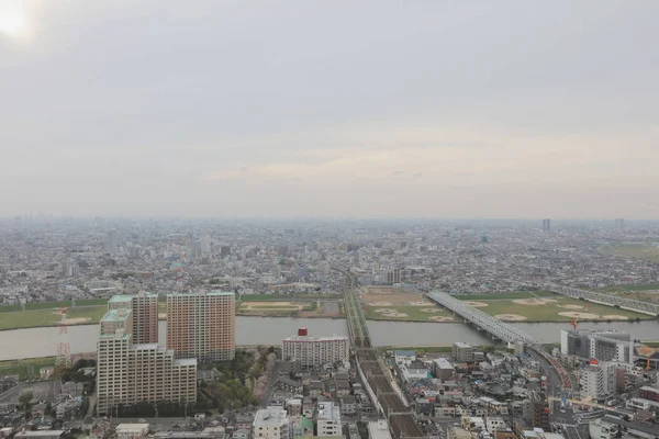 En Ichikawa historiska byggnad har utsikt över — Stockfoto