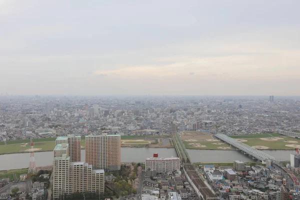 Een historische gebouw kijkt uit op Ichikawa — Stockfoto