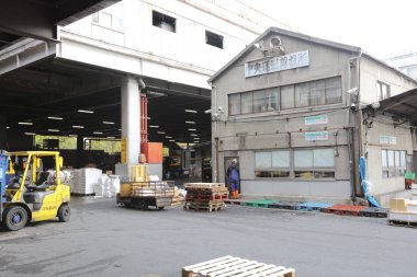 2016, Tsukiji Balık Pazarı
