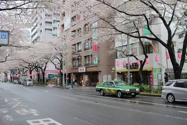 Rue avec cerise à Nakano — Photo