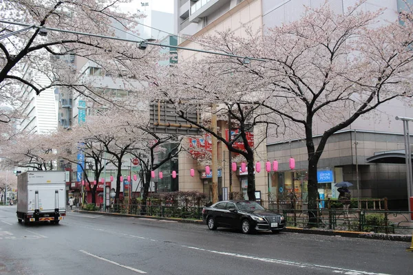 Straße mit Kirsche bei Nakano — Stockfoto