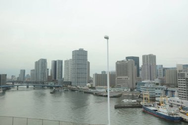 Tokyo Büyükşehir Expressway