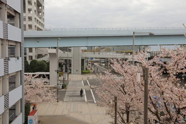 Odaiba Seaside Park à Tokyo — Photo