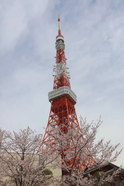 Utsikt över Tokyo Tower och Tokyo city — Stockfoto