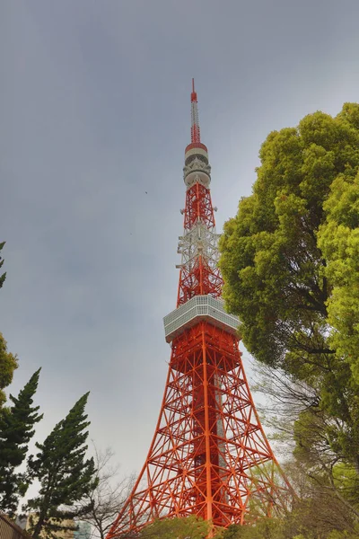 Overlook Tokyo Kulesi ve Tokyo şehir — Stok fotoğraf