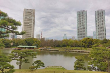  bir geleneksel Japon güzel bir örneği