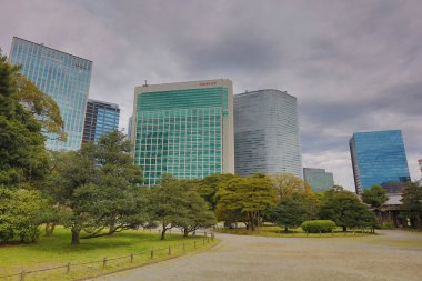 Hamarikyu bahçeleri Tokyo, Japonya