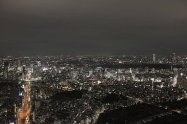 Tokyo yayılan cityscape.