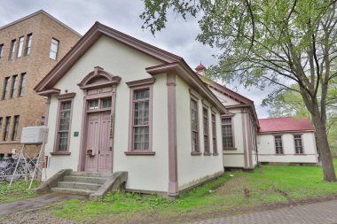  Hokkaido Üniversitesi Sapporo peyzaj 
