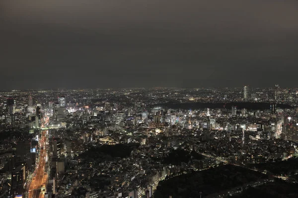 Tokyo yayılan cityscape.