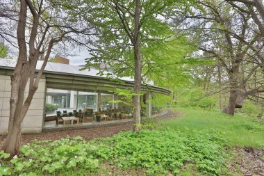  Hokkaido Üniversitesi Sapporo peyzaj 