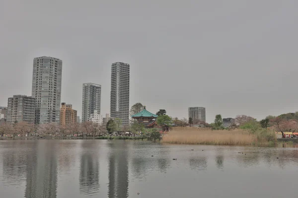Ueno Park τοπίο στη λίμνη Shinobazu — Φωτογραφία Αρχείου