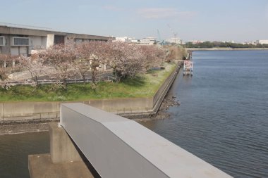 Tokyo Körfezi, Tokyo Monoray görünümünü 