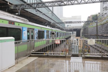 Tokyo metro ile seyahat yolcu