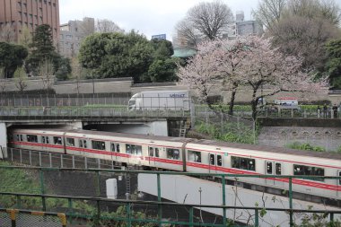 Trenler Kanda Rive geçmek