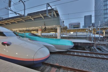 Yeşil E5 serisi ve beyaz E2 serisi kurşun tren 