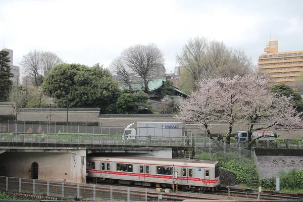 神田川を通過する列車 — ストック写真