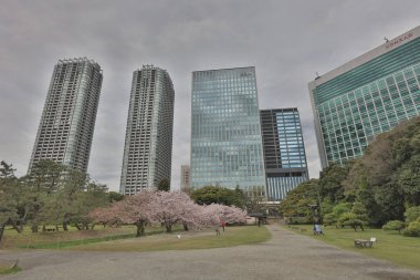 Hamarikyu bahçeleri Tokyo, Japonya