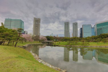 Hamarikyu bahçeleri Tokyo, Japonya