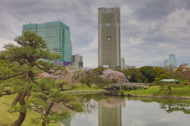 Hamarikyu bahçeleri Tokyo, Japonya