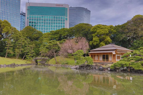 Hamarikyu bahçeleri: Tokyo, Japan 