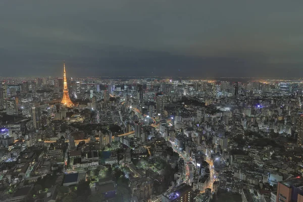 Büyükşehir manzarası ile görüldüğü gibi Tokyo tower 