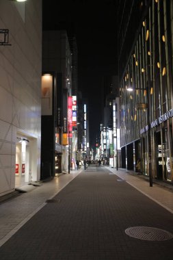  2016 geceleri, Ginza sokak görünümü