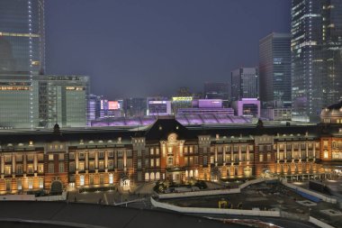 Ana şehirlerarası demiryolu Tokyo'da terminal