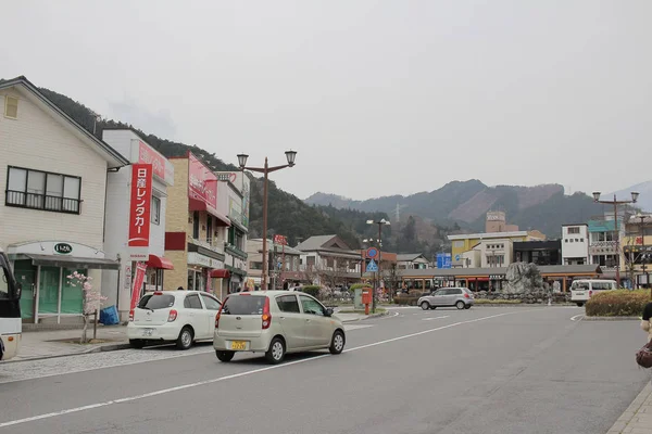 Nikko turistik bilgi merkezi önünde bulur — Stok fotoğraf