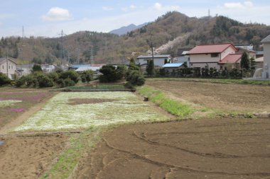kırsal Japonya'da 2016 Fujikyuko hattı