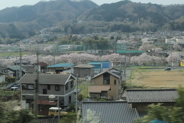 Tren Yamanashi, peyzaj, görüntülemek