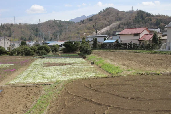 kırsal Japonya'da 2016 Fujikyuko hattı