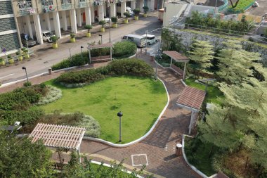 yolu ile taşlar arasında büyüyen çimen