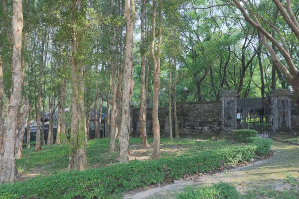 Kowloon Walled City Park w Hong Kong, Chiny. — Zdjęcie stockowe