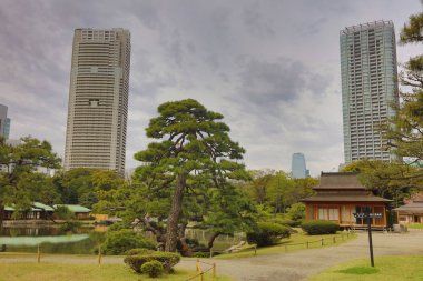 Hamarikyu bahçeleri Tokyo, Japonya