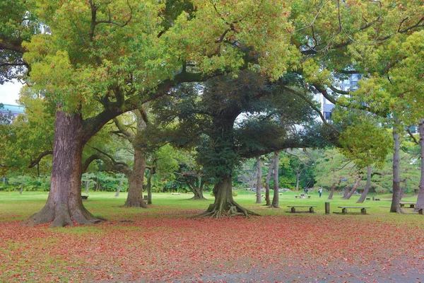 하 마리 큐 정원과 도쿄, 일본 — 스톡 사진