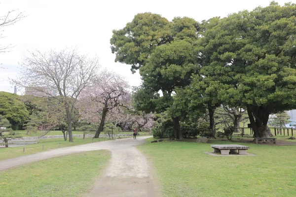 Hamarikyu Bahçeleri bir geleneksel Japon Bahçesi olduğunu 