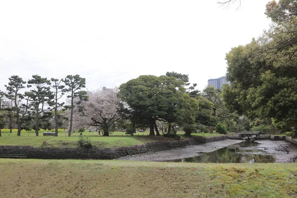 Hamarikyu bahçeleri Tokyo, Japonya