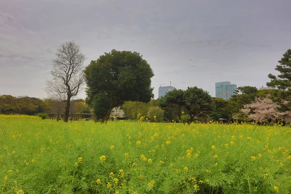 Hamarikyu Bahçeleri bir geleneksel Japon Bahçesi olduğunu 