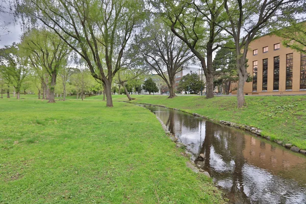  Hokkaido Üniversitesi Sapporo peyzaj 