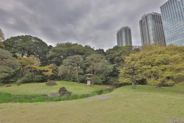 Tokyo Hamarikyu bahçeleri