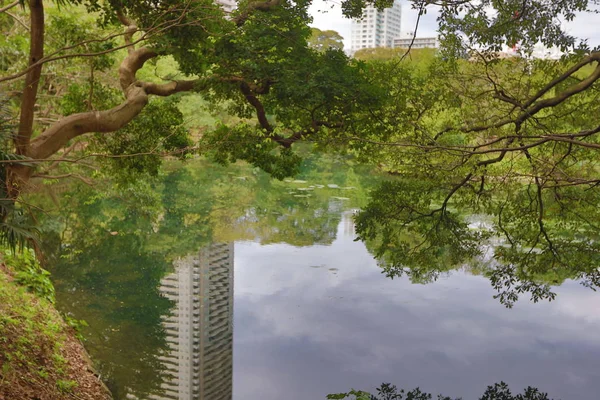 Jardins Hamarikyu de um jardim tradicional — Fotografia de Stock