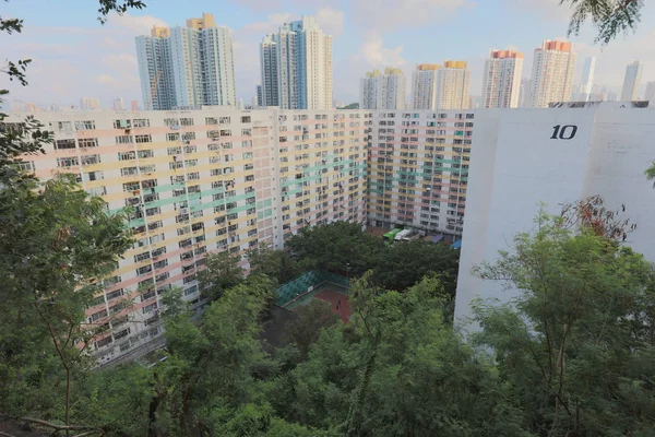 Pak teneke konutunda eski konut