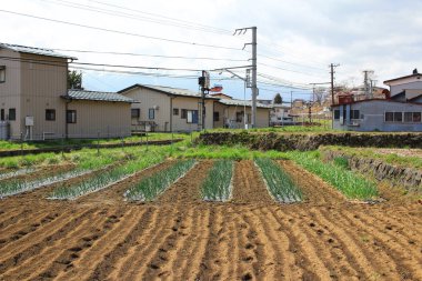 Shimo Yoshida ilçeleri Yamanashi 