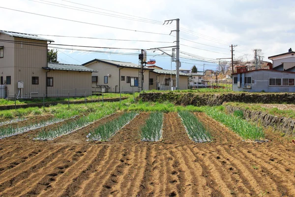 Shimo Yoshida ilçeleri Yamanashi 