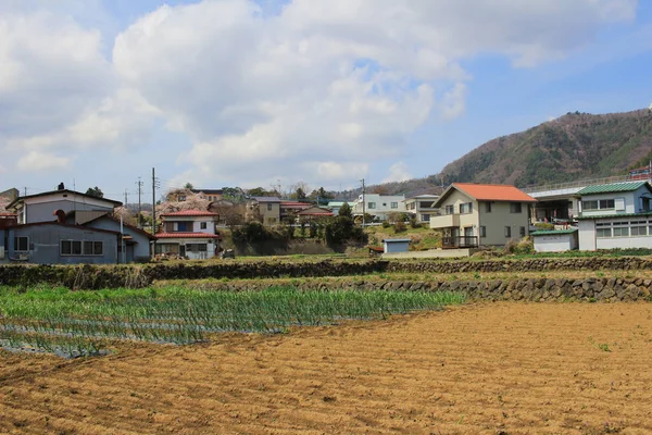 courtyside Otsuki Yamanashi için göster