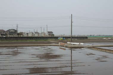 kırsal trenle görünümünü 