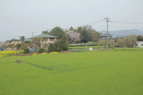 View of countryside by train — Stock Photo, Image