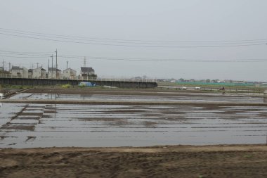 kırsal trenle görünümünü 