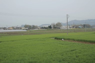 kırsal trenle görünümünü 